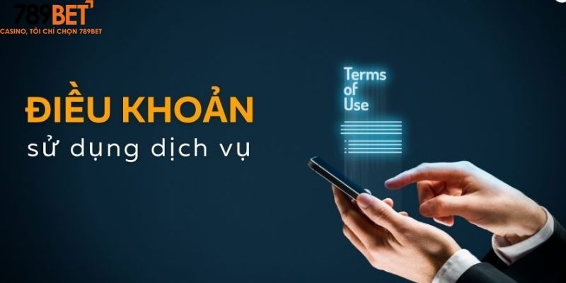 Tổng quan về các điều khoản sử dụng 